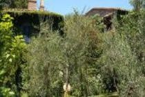 Porciglia Alta Ξενοδοχείο Montespertoli Εξωτερικό φωτογραφία